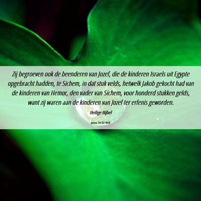 Picture 06 - Jozua 24:32 NLD - Zij begroeven ook de beenderen van Jozef, die de - Bible Verse Picture