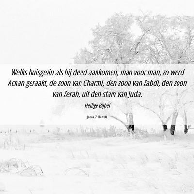 Picture 06 - Jozua 7:18 NLD - Welks huisgezin als hij deed aankomen, man voor - Bible Verse Picture