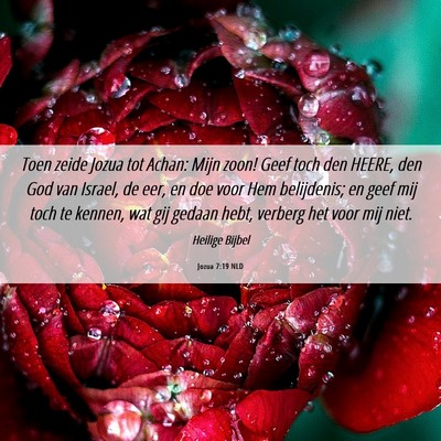 Picture 06 - Jozua 7:19 NLD - Toen zeide Jozua tot Achan: Mijn zoon! Geef toch - Bible Verse Picture