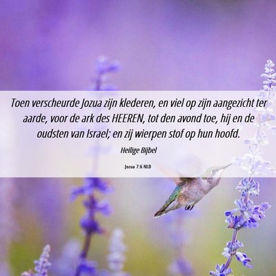Picture 06 - Jozua 7:6 NLD - Toen verscheurde Jozua zijn klederen, en viel op - Bible Verse Picture