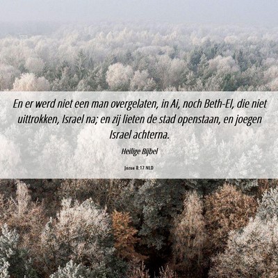 Picture 06 - Jozua 8:17 NLD - En er werd niet een man overgelaten, in Ai, noch - Bible Verse Picture