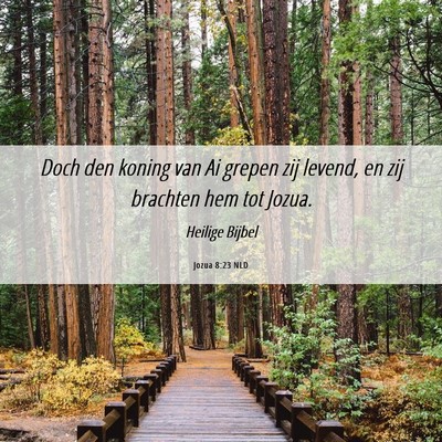Picture 06 - Jozua 8:23 NLD - Doch den koning van Ai grepen zij levend, en zij - Bible Verse Picture