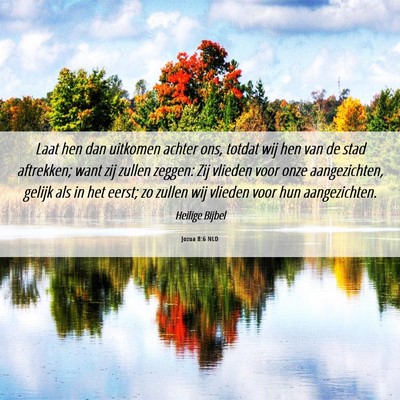 Picture 06 - Jozua 8:6 NLD - Laat hen dan uitkomen achter ons, totdat wij hen - Bible Verse Picture