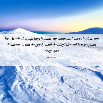 Picture 06 - Joël 1:11 NLD - De akkerlieden zijn beschaamd, de wijngaardeniers - Bible Verse Picture