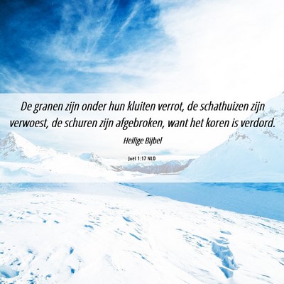 Picture 06 - Joël 1:17 NLD - De granen zijn onder hun kluiten verrot, de - Bible Verse Picture