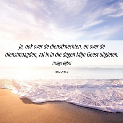 Picture 06 - Joël 2:29 NLD - Ja, ook over de dienstknechten, en over de - Bible Verse Picture