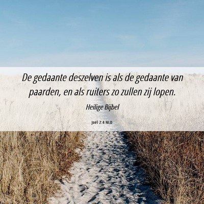 Picture 06 - Joël 2:4 NLD - De gedaante deszelven is als de gedaante van - Bible Verse Picture