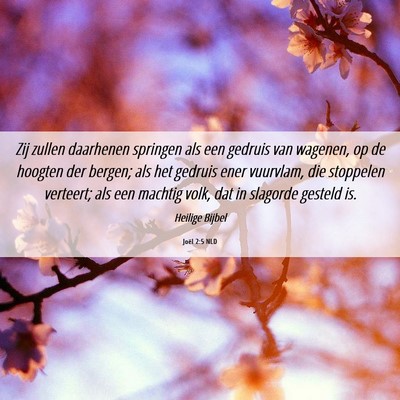Picture 06 - Joël 2:5 NLD - Zij zullen daarhenen springen als een gedruis van - Bible Verse Picture