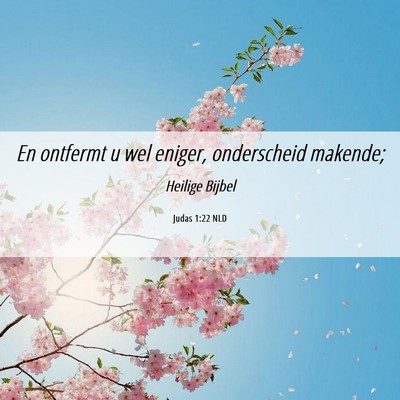 Picture 06 - Judas 1:22 NLD - En ontfermt u wel eniger, onderscheid - Bible Verse Picture