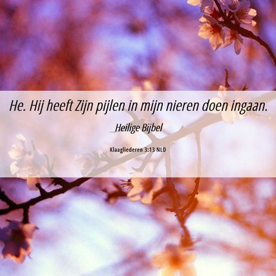 Picture 06 - Klaagliederen 3:13 NLD - He. Hij heeft Zijn pijlen in mijn nieren doen - Bible Verse Picture