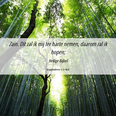 Picture 06 - Klaagliederen 3:21 NLD - Zain. Dit zal ik mij ter harte nemen, daarom zal - Bible Verse Picture