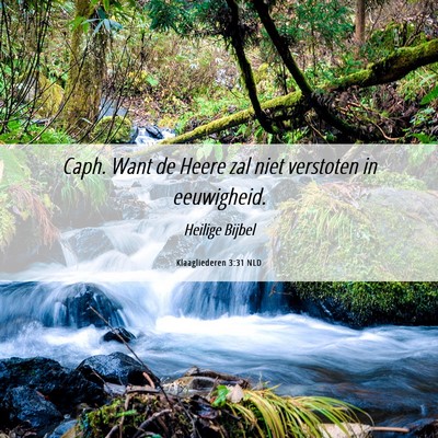 Picture 06 - Klaagliederen 3:31 NLD - Caph. Want de Heere zal niet verstoten in - Bible Verse Picture