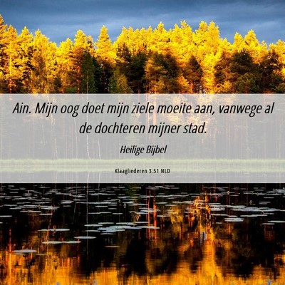 Picture 06 - Klaagliederen 3:51 NLD - Ain. Mijn oog doet mijn ziele moeite aan, vanwege - Bible Verse Picture