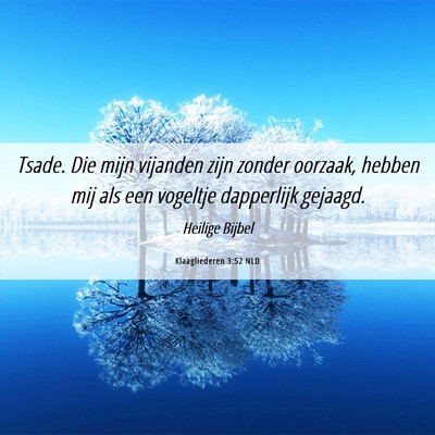 Picture 06 - Klaagliederen 3:52 NLD - Tsade. Die mijn vijanden zijn zonder oorzaak, - Bible Verse Picture