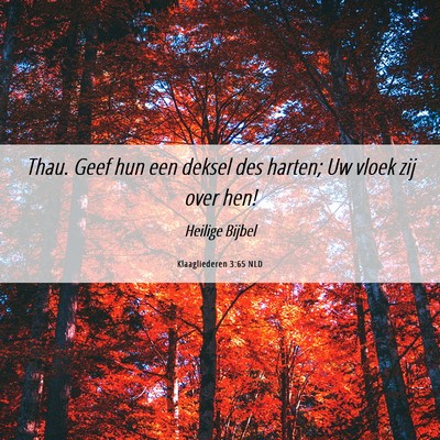 Picture 06 - Klaagliederen 3:65 NLD - Thau. Geef hun een deksel des harten; Uw vloek - Bible Verse Picture