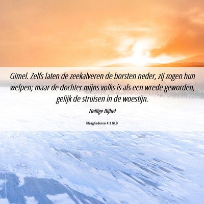 Picture 06 - Klaagliederen 4:3 NLD - Gimel. Zelfs laten de zeekalveren de borsten - Bible Verse Picture
