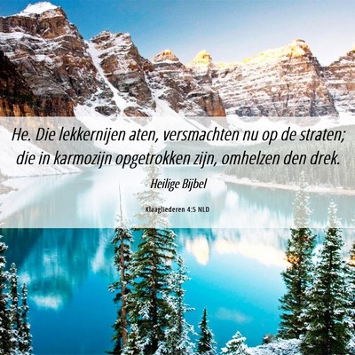 Picture 06 - Klaagliederen 4:5 NLD - He. Die lekkernijen aten, versmachten nu op de - Bible Verse Picture