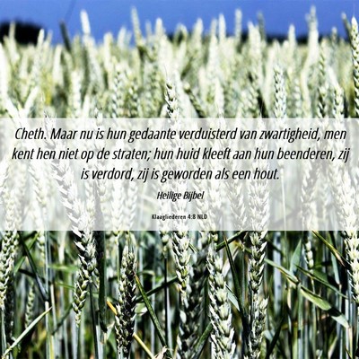 Picture 06 - Klaagliederen 4:8 NLD - Cheth. Maar nu is hun gedaante verduisterd van - Bible Verse Picture