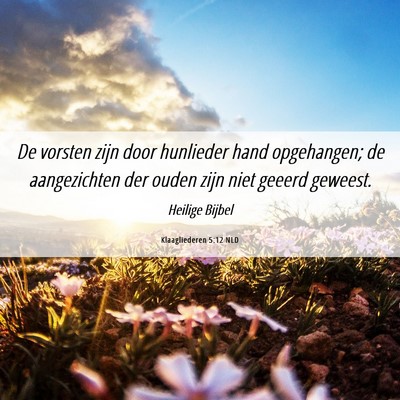 Picture 06 - Klaagliederen 5:12 NLD - De vorsten zijn door hunlieder hand opgehangen; - Bible Verse Picture