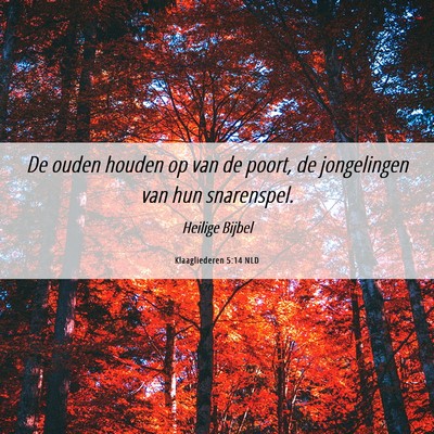 Picture 06 - Klaagliederen 5:14 NLD - De ouden houden op van de poort, de jongelingen - Bible Verse Picture
