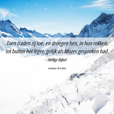 Picture 06 - Leviticus 10:5 NLD - Toen traden zij toe, en droegen hen, in hun - Bible Verse Picture