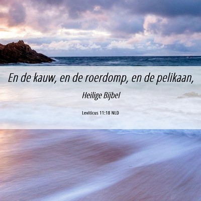 Picture 06 - Leviticus 11:18 NLD - En de kauw, en de roerdomp, en de - Bible Verse Picture