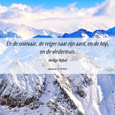 Picture 06 - Leviticus 11:19 NLD - En de ooievaar, de reiger naar zijn aard, en de - Bible Verse Picture