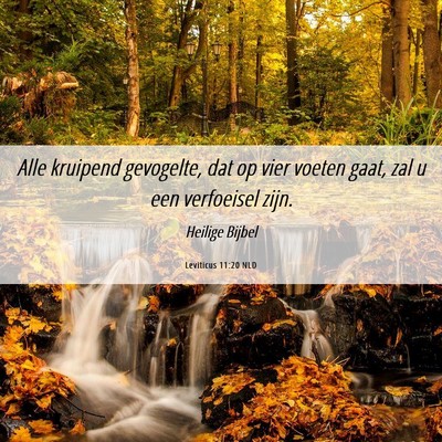 Picture 06 - Leviticus 11:20 NLD - Alle kruipend gevogelte, dat op vier voeten gaat, - Bible Verse Picture