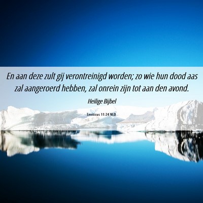Picture 06 - Leviticus 11:24 NLD - En aan deze zult gij verontreinigd worden; zo wie - Bible Verse Picture