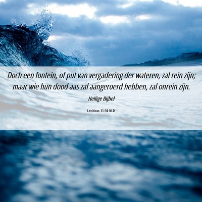 Picture 06 - Leviticus 11:36 NLD - Doch een fontein, of put van vergadering der - Bible Verse Picture