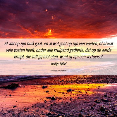 Picture 06 - Leviticus 11:42 NLD - Al wat op zijn buik gaat, en al wat gaat op zijn - Bible Verse Picture
