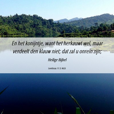 Picture 06 - Leviticus 11:5 NLD - En het konijntje, want het herkauwt wel, maar - Bible Verse Picture