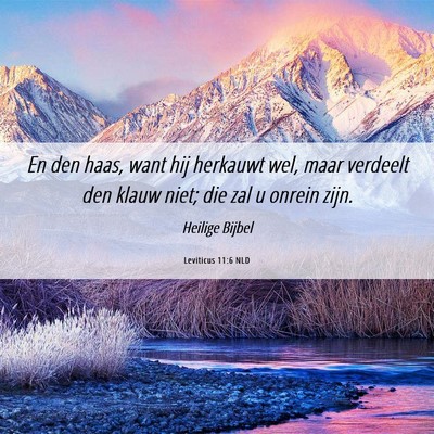 Picture 06 - Leviticus 11:6 NLD - En den haas, want hij herkauwt wel, maar verdeelt - Bible Verse Picture