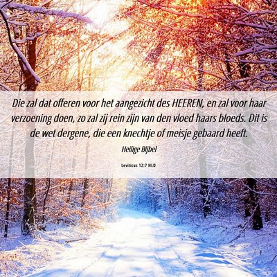 Picture 06 - Leviticus 12:7 NLD - Die zal dat offeren voor het aangezicht des - Bible Verse Picture