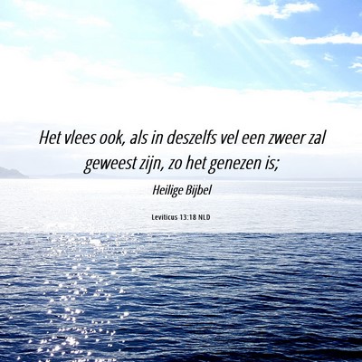 Picture 06 - Leviticus 13:18 NLD - Het vlees ook, als in deszelfs vel een zweer zal - Bible Verse Picture