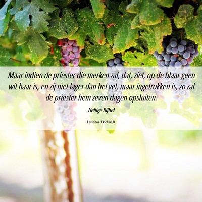 Picture 06 - Leviticus 13:26 NLD - Maar indien de priester die merken zal, dat, - Bible Verse Picture