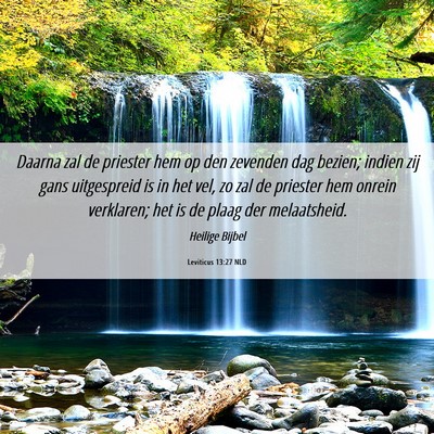 Picture 06 - Leviticus 13:27 NLD - Daarna zal de priester hem op den zevenden dag - Bible Verse Picture