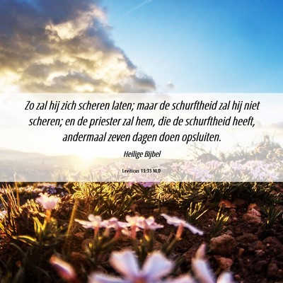 Picture 06 - Leviticus 13:33 NLD - Zo zal hij zich scheren laten; maar de - Bible Verse Picture