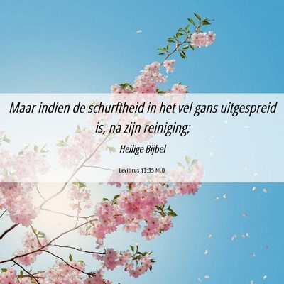 Picture 06 - Leviticus 13:35 NLD - Maar indien de schurftheid in het vel gans - Bible Verse Picture