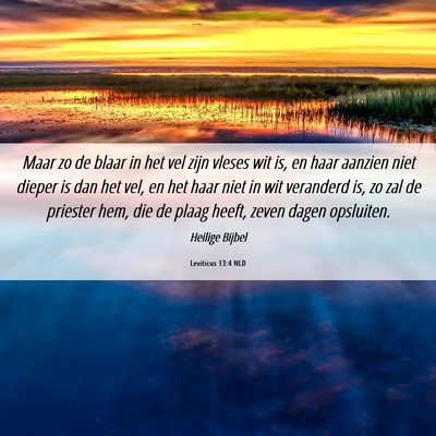 Picture 06 - Leviticus 13:4 NLD - Maar zo de blaar in het vel zijn vleses wit is, - Bible Verse Picture