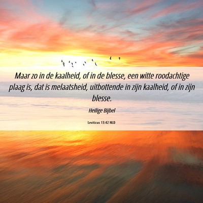 Picture 06 - Leviticus 13:42 NLD - Maar zo in de kaalheid, of in de blesse, een - Bible Verse Picture