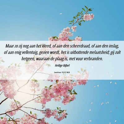 Picture 06 - Leviticus 13:57 NLD - Maar zo zij nog aan het kleed, of aan den - Bible Verse Picture