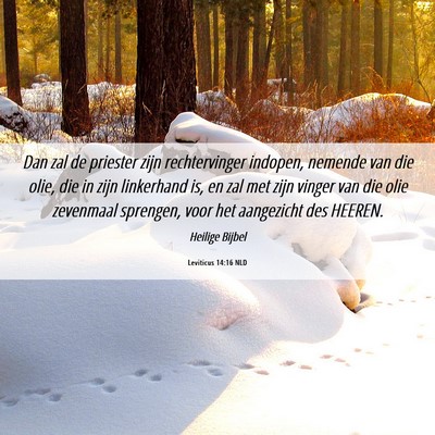 Picture 06 - Leviticus 14:16 NLD - Dan zal de priester zijn rechtervinger indopen, - Bible Verse Picture