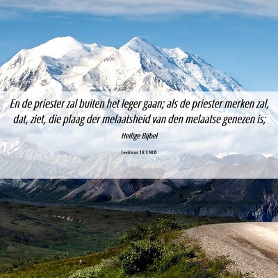 Picture 06 - Leviticus 14:3 NLD - En de priester zal buiten het leger gaan; als de - Bible Verse Picture