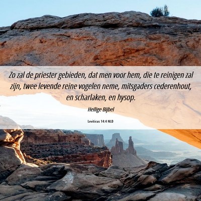 Picture 06 - Leviticus 14:4 NLD - Zo zal de priester gebieden, dat men voor hem, - Bible Verse Picture