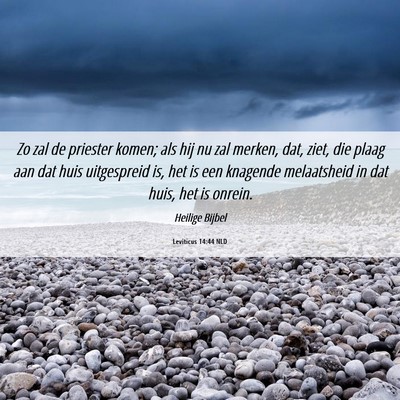 Picture 06 - Leviticus 14:44 NLD - Zo zal de priester komen; als hij nu zal merken, - Bible Verse Picture