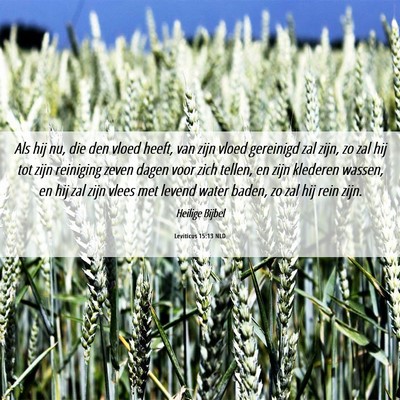 Picture 06 - Leviticus 15:13 NLD - Als hij nu, die den vloed heeft, van zijn vloed - Bible Verse Picture