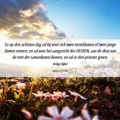 Picture 06 - Leviticus 15:14 NLD - En op den achtsten dag zal hij voor zich twee - Bible Verse Picture