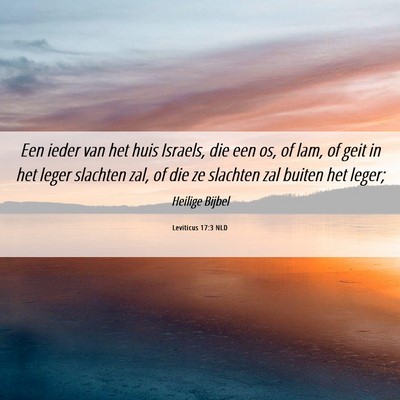 Picture 06 - Leviticus 17:3 NLD - Een ieder van het huis Israels, die een os, of - Bible Verse Picture