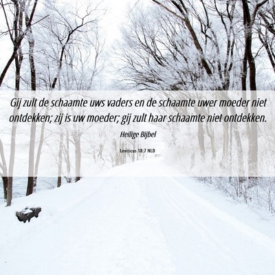 Picture 06 - Leviticus 18:7 NLD - Gij zult de schaamte uws vaders en de schaamte - Bible Verse Picture